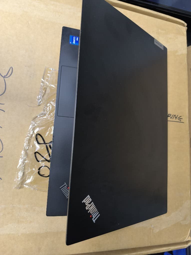 ThinkPads Beast Image 3